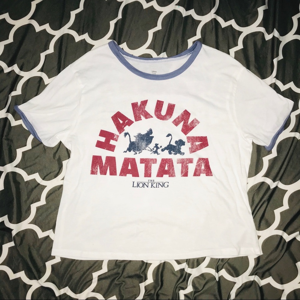 HAKUNA MATATA LION KING SIMBA, TIMON, PUMBA CROP